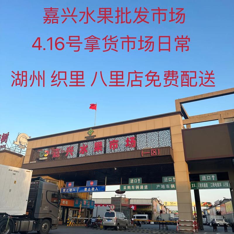 嘉兴批发：零售的海洋